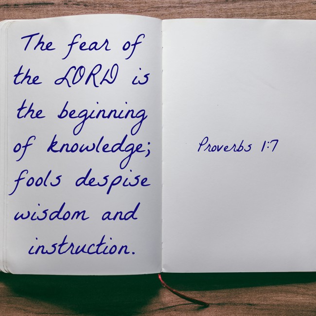  The fear of the LORD is the beginning of knowledge; fools despise wisdom and instruction.   - Proverbs 1:7 