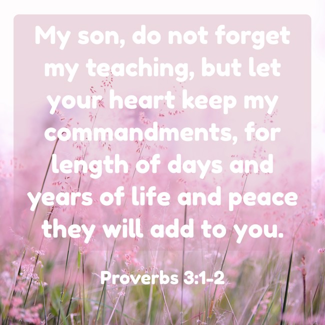  My son, do not forget my teaching, but let your heart keep my commandments, for length of days and years of life and peace they will add to you.   - Proverbs 3:1-2 