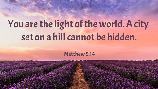  You are the light of the world. A city set on a hill cannot be hidden.   - Matthew 5:14 