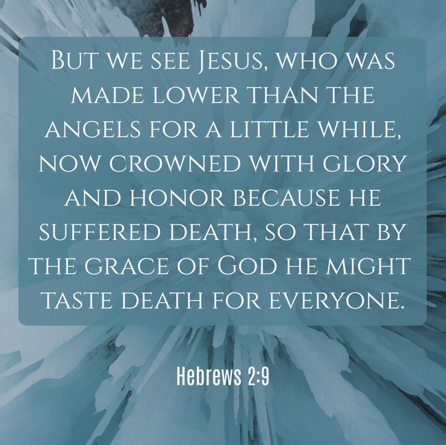 But we see Jesus, who was made lower than the angels for a little while, now crowned with glory and honor because he suffered death, so that by the grace of God he might taste death for everyone. - Hebrews 2:9
