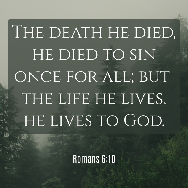 The death he died, he died to sin once for all; but the life he lives, he lives to God. - Romans 6:10