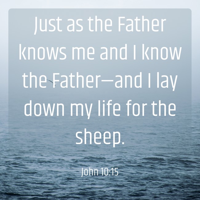 Just as the Father knows me and I know the Father—and I lay down my life for the sheep. - John 10:15