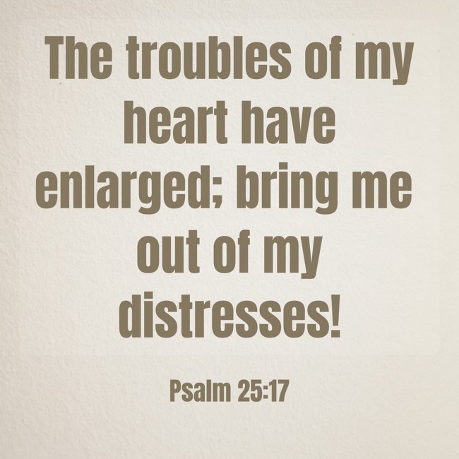 The troubles of my heart have enlarged; bring me out of my distresses! - Psalm 25:17
