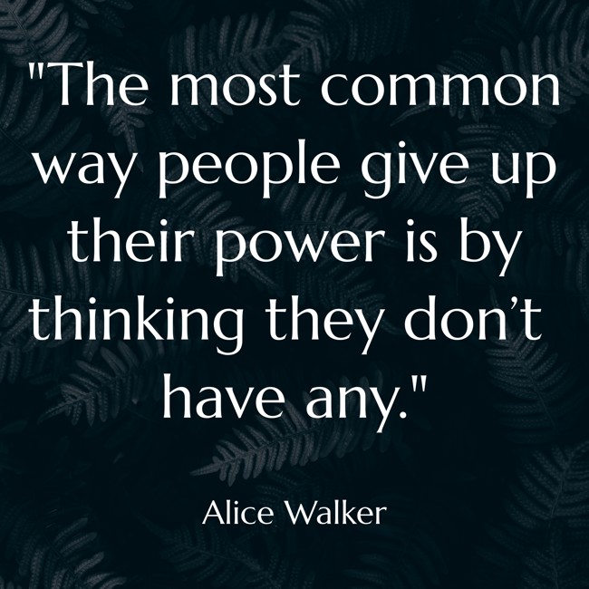 The most common way people give up their power is by thinking they don’t have any. - Alice Walker