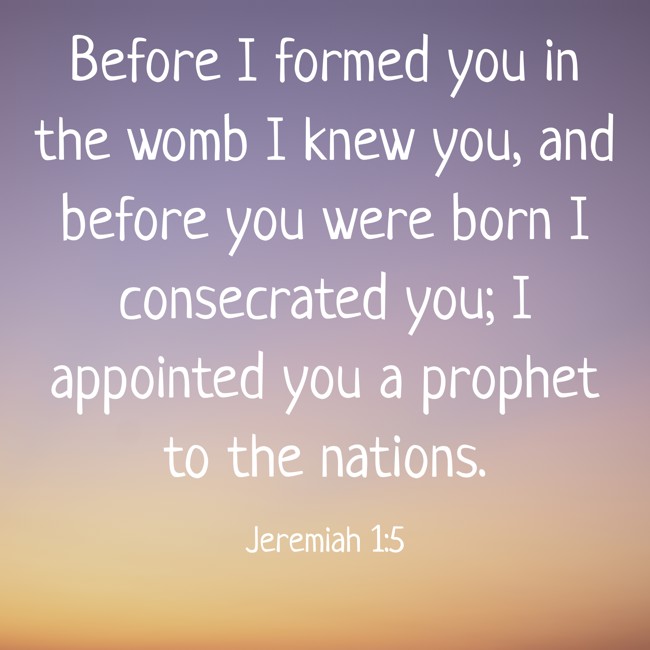 Before I formed you in the womb I knew you, and before you were born I consecrated you; I appointed you a prophet to the nations. - Jeremiah 1:5