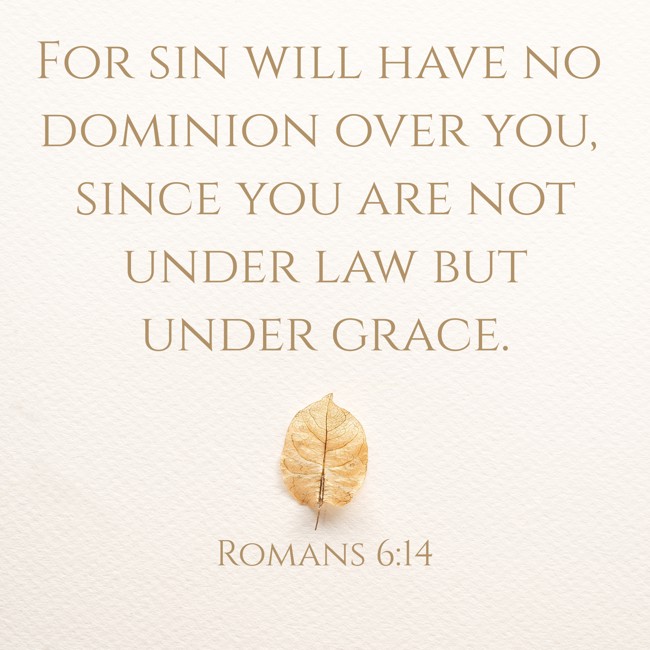  For sin will have no dominion over you, since you are not under law but under grace.   - Romans 6:14 