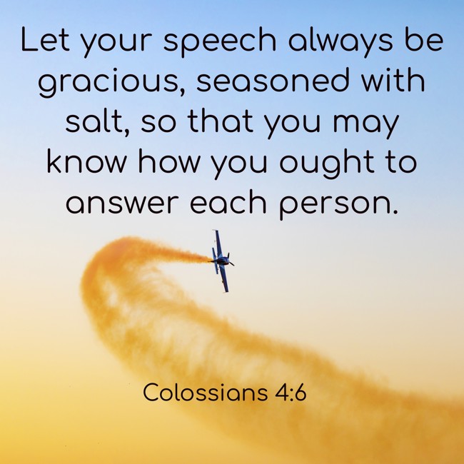  Let your speech always be gracious, seasoned with salt, so that you may know how you ought to answer each person.   - Colossians 4:6 