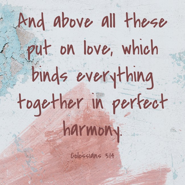 And above all these put on love, which binds everything together in perfect harmony. - Colossians 3:14