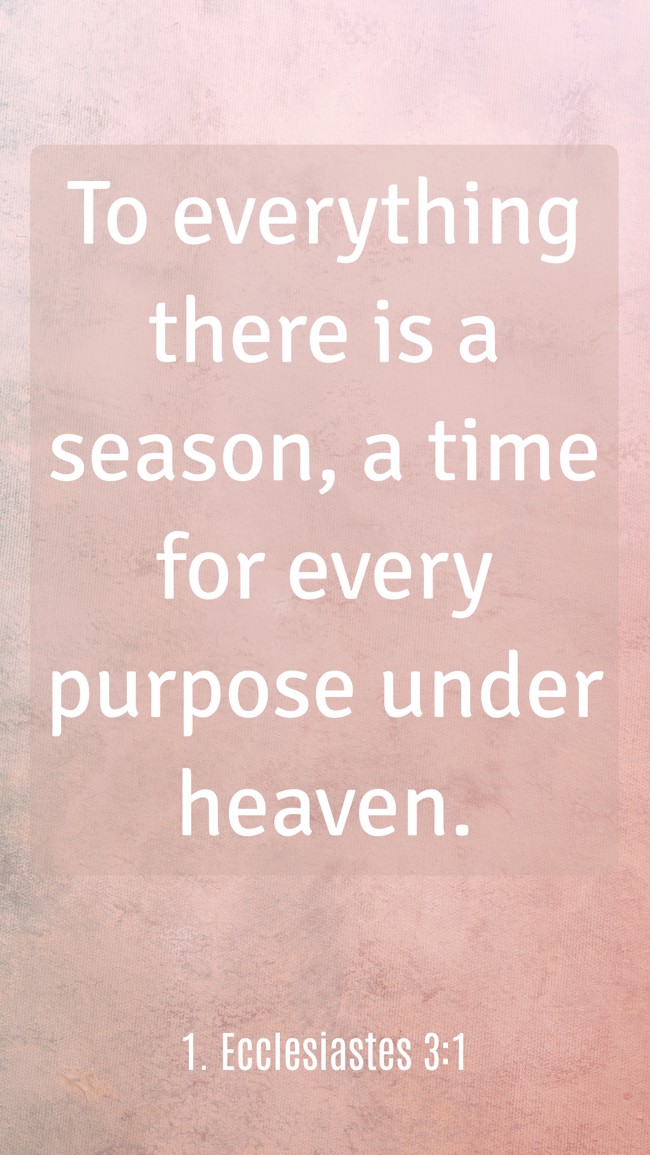 To everything there is a season, a time for every purpose under heaven. - 1. Ecclesiastes 3:1