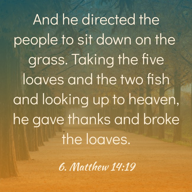 And he directed the people to sit down on the grass. Taking the five loaves and the two fish and looking up to heaven, he gave thanks and broke the loaves. - 6. Matthew 14:19