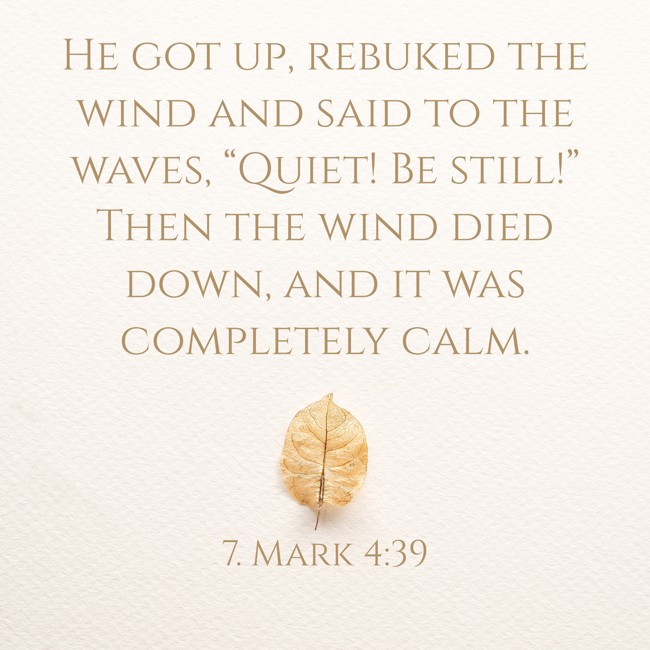 He got up, rebuked the wind and said to the waves, “Quiet! Be still!” Then the wind died down, and it was completely calm. - 7. Mark 4:39