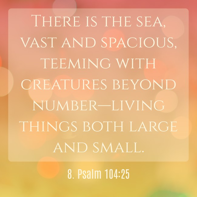 There is the sea, vast and spacious, teeming with creatures beyond number—living things both large and small. - 8. Psalm 104:25
