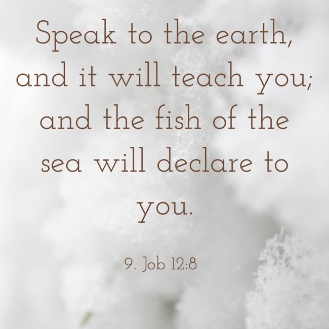 Speak to the earth, and it will teach you; and the fish of the sea will declare to you. - 9. Job 12:8