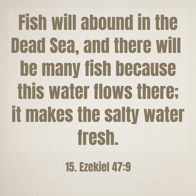Fish will abound in the Dead Sea, and there will be many fish because this water flows there; it makes the salty water fresh. - 15. Ezekiel 47:9