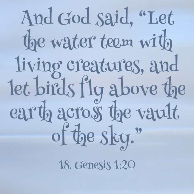 And God said, “Let the water teem with living creatures, and let birds fly above the earth across the vault of the sky.” - 18. Genesis 1:20