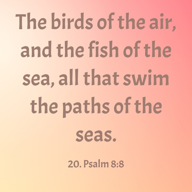 The birds of the air, and the fish of the sea, all that swim the paths of the seas. - 20. Psalm 8:8