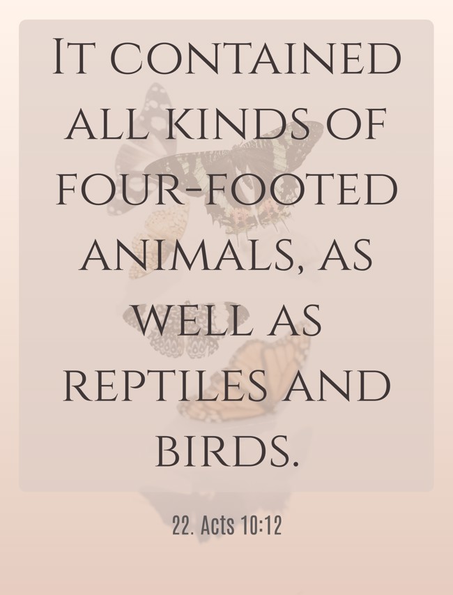 It contained all kinds of four-footed animals, as well as reptiles and birds. - 22. Acts 10:12