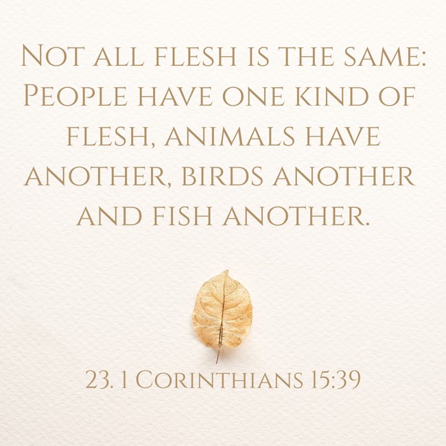 Not all flesh is the same: People have one kind of flesh, animals have another, birds another and fish another. - 23. 1 Corinthians 15:39