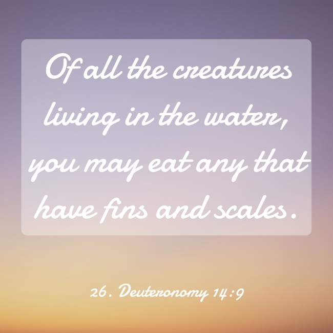 Of all the creatures living in the water, you may eat any that have fins and scales. - 26. Deuteronomy 14:9