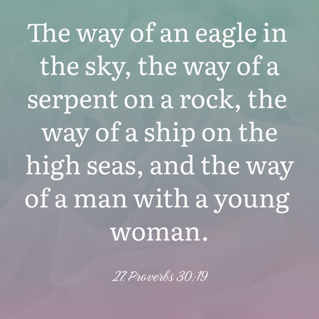 The way of an eagle in the sky, the way of a serpent on a rock, the way of a ship on the high seas, and the way of a man with a young woman. - 27. Proverbs 30:19