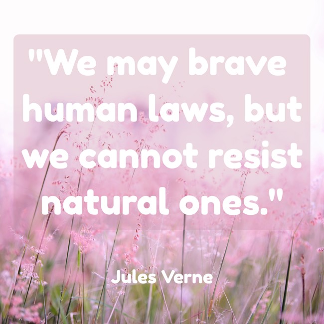 We may brave human laws, but we cannot resist natural ones. - Jules Verne