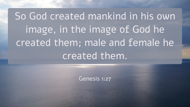  So God created mankind in his own image, in the image of God he created them; male and female he created them.   - Genesis 1:27 
