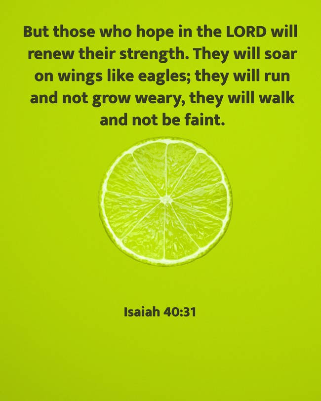  But those who hope in the LORD will renew their strength. They will soar on wings like eagles; they will run and not grow weary, they will walk and not be faint.   - Isaiah 40:31 