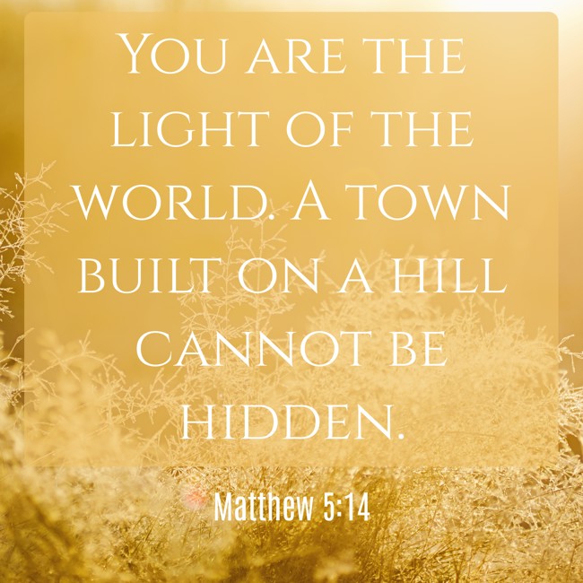  You are the light of the world. A town built on a hill cannot be hidden.   - Matthew 5:14 