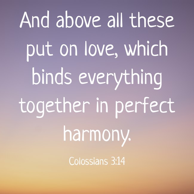 And above all these put on love, which binds everything together in perfect harmony. - Colossians 3:14