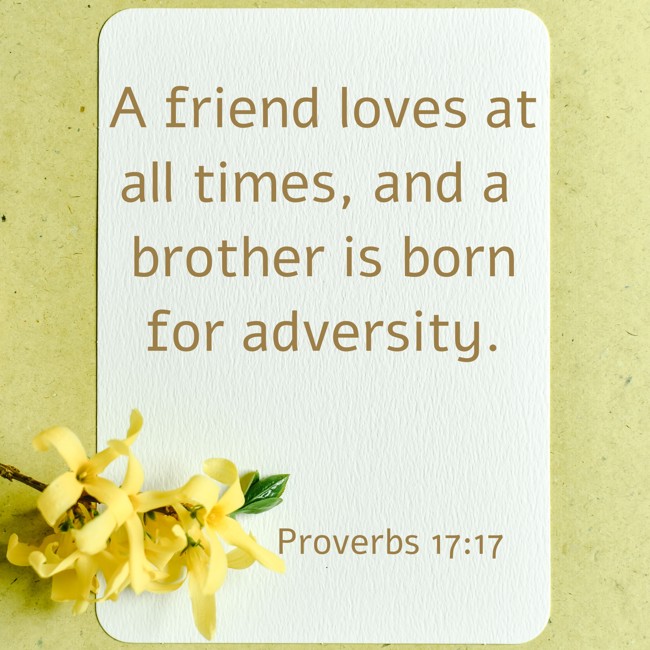 A friend loves at all times, and a brother is born for adversity. - Proverbs 17:17
