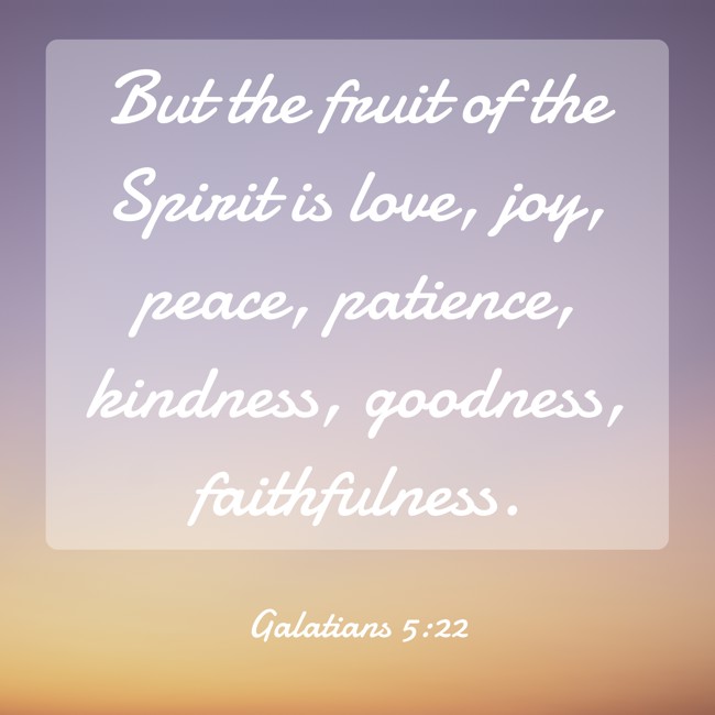 But the fruit of the Spirit is love, joy, peace, patience, kindness, goodness, faithfulness. - Galatians 5:22