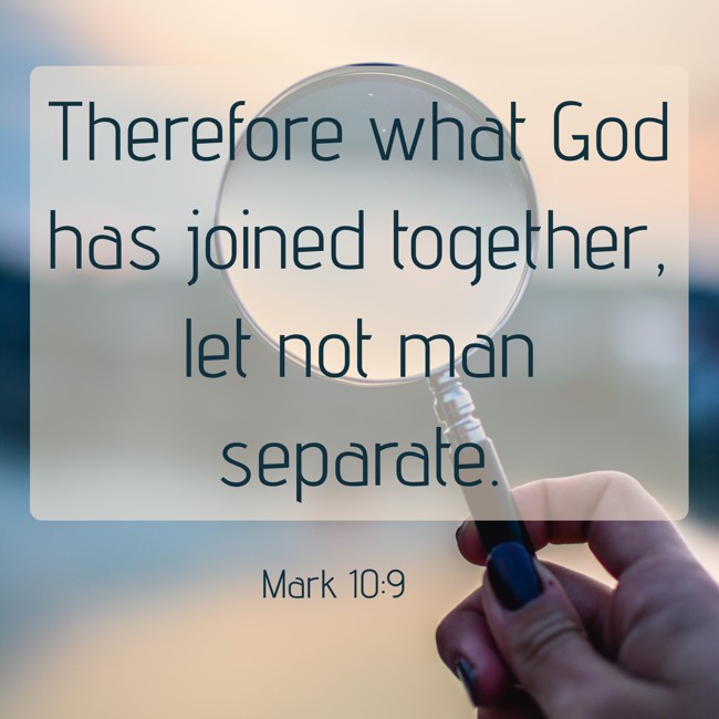 Therefore what God has joined together, let not man separate. - Mark 10:9