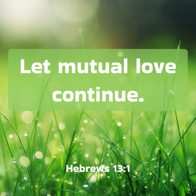 Let mutual love continue. - Hebrews 13:1