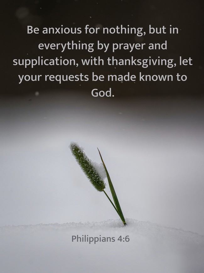  Be anxious for nothing, but in everything by prayer and supplication, with thanksgiving, let your requests be made known to God.   - Philippians 4:6 