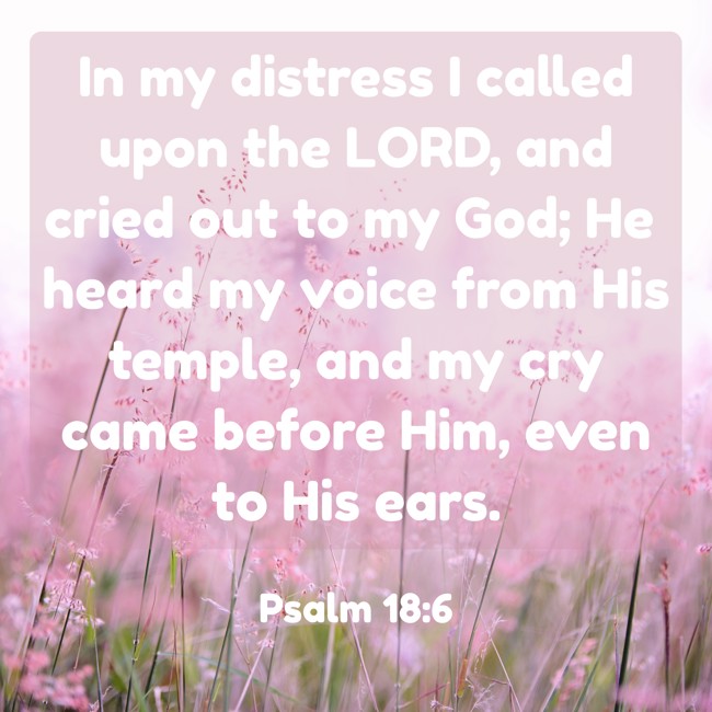  In my distress I called upon the LORD, and cried out to my God; He heard my voice from His temple, and my cry came before Him, even to His ears.   - Psalm 18:6 
