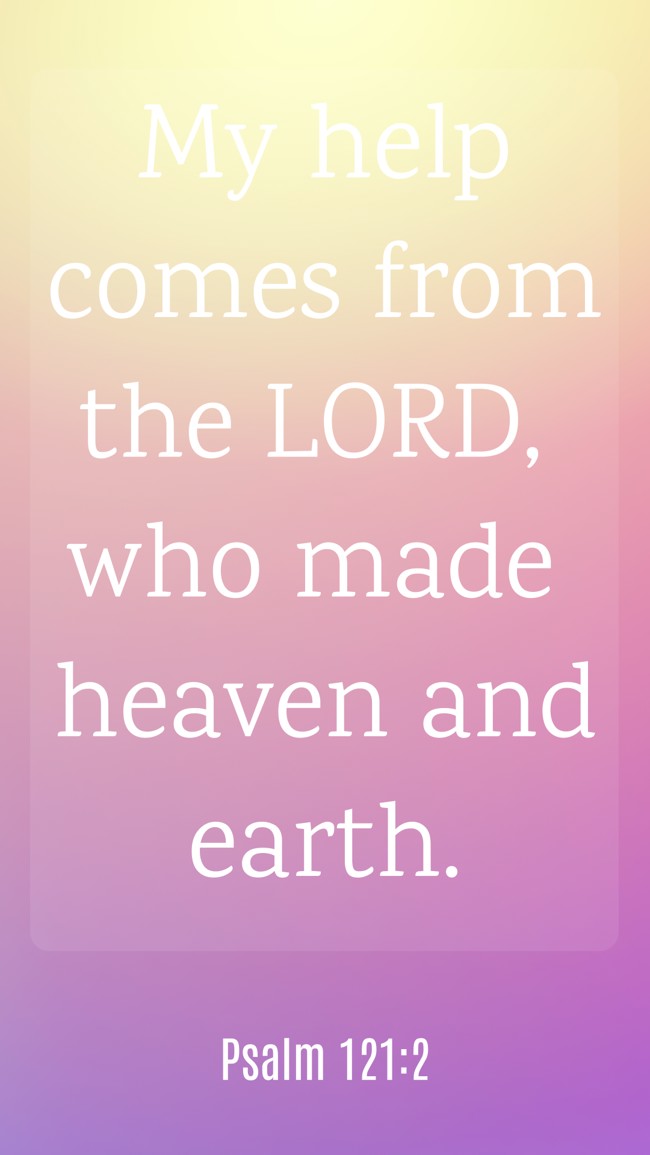  My help comes from the LORD, who made heaven and earth.   - Psalm 121:2 