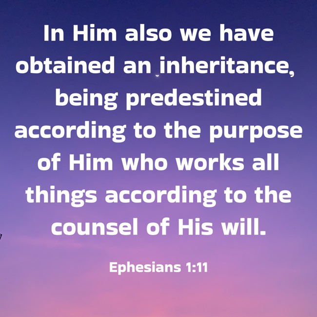 In Him also we have obtained an inheritance, being predestined according to the purpose of Him who works all things according to the counsel of His will. - Ephesians 1:11
