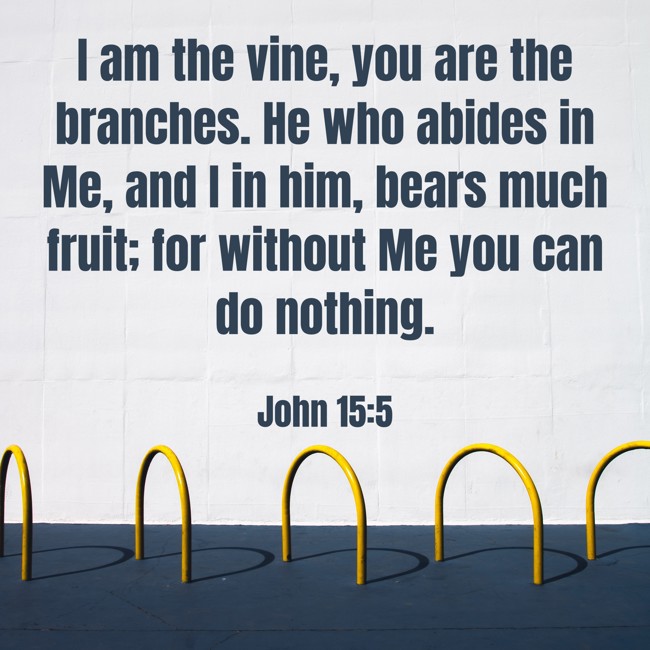 I am the vine, you are the branches. He who abides in Me, and I in him, bears much fruit; for without Me you can do nothing. - John 15:5