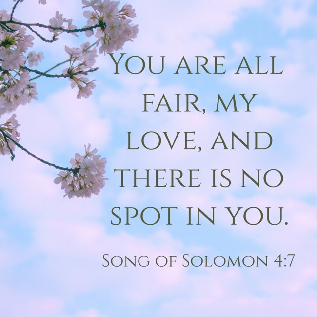 You are all fair, my love, and there is no spot in you. - Song of Solomon 4:7