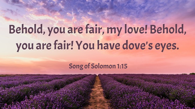 Behold, you are fair, my love! Behold, you are fair! You have dove's eyes. - Song of Solomon 1:15