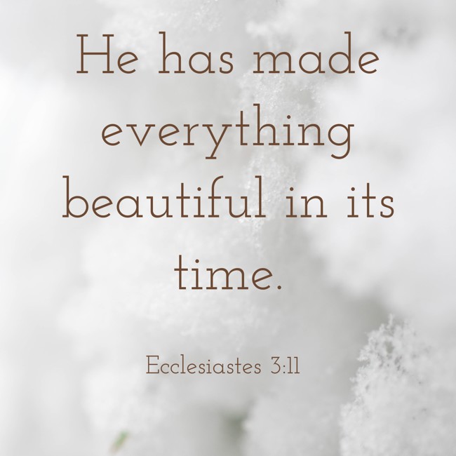 He has made everything beautiful in its time. - Ecclesiastes 3:11