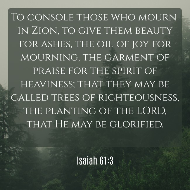 To console those who mourn in Zion, to give them beauty for ashes, the oil of joy for mourning, the garment of praise for the spirit of heaviness; that they may be called trees of righteousness, the planting of the LORD, that He may be glorified. - Isaiah 61:3