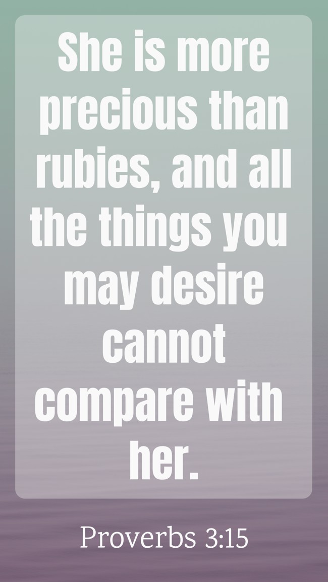 She is more precious than rubies, and all the things you may desire cannot compare with her. - Proverbs 3:15
