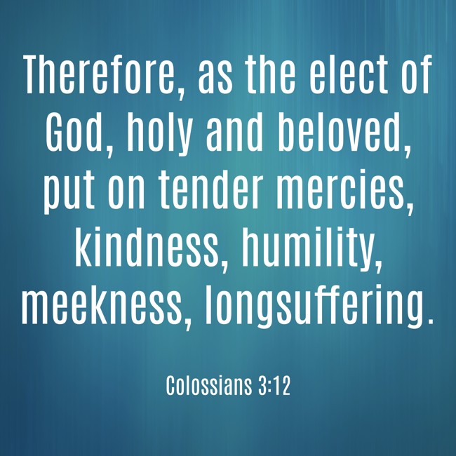 Therefore, as the elect of God, holy and beloved, put on tender mercies, kindness, humility, meekness, longsuffering. - Colossians 3:12