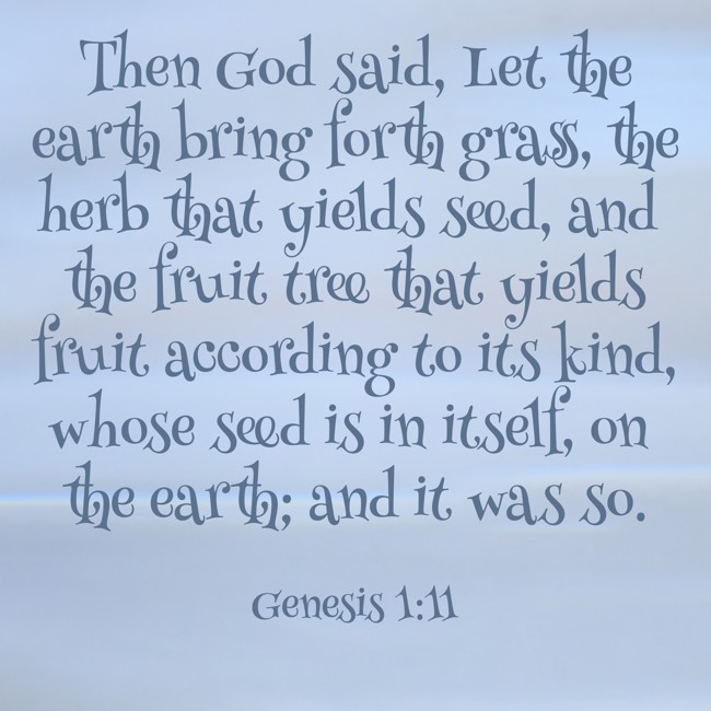  Then God said, Let the earth bring forth grass, the herb that yields seed, and the fruit tree that yields fruit according to its kind, whose seed is in itself, on the earth; and it was so.   - Genesis 1:11 