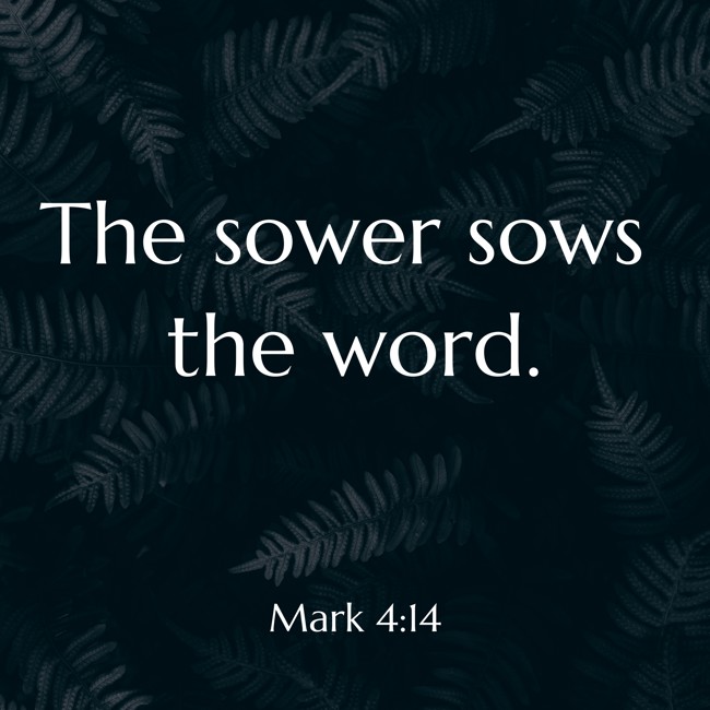  The sower sows the word.   - Mark 4:14 