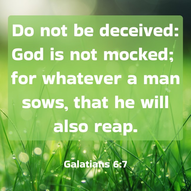  Do not be deceived: God is not mocked; for whatever a man sows, that he will also reap.   - Galatians 6:7 