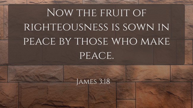  Now the fruit of righteousness is sown in peace by those who make peace.   - James 3:18 