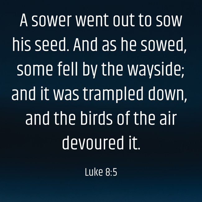 A sower went out to sow his seed. And as he sowed, some fell by the wayside; and it was trampled down, and the birds of the air devoured it.   - Luke 8:5 