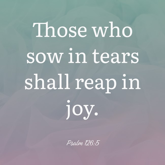  Those who sow in tears shall reap in joy.   - Psalm 126:5 